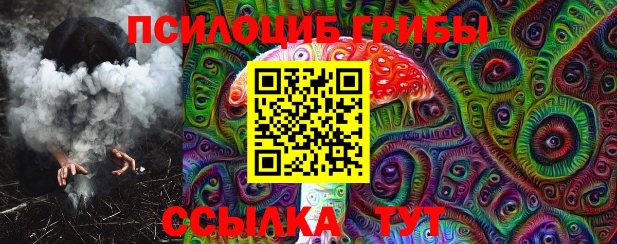 Псилоцибиновые грибы Cubensis Юрга