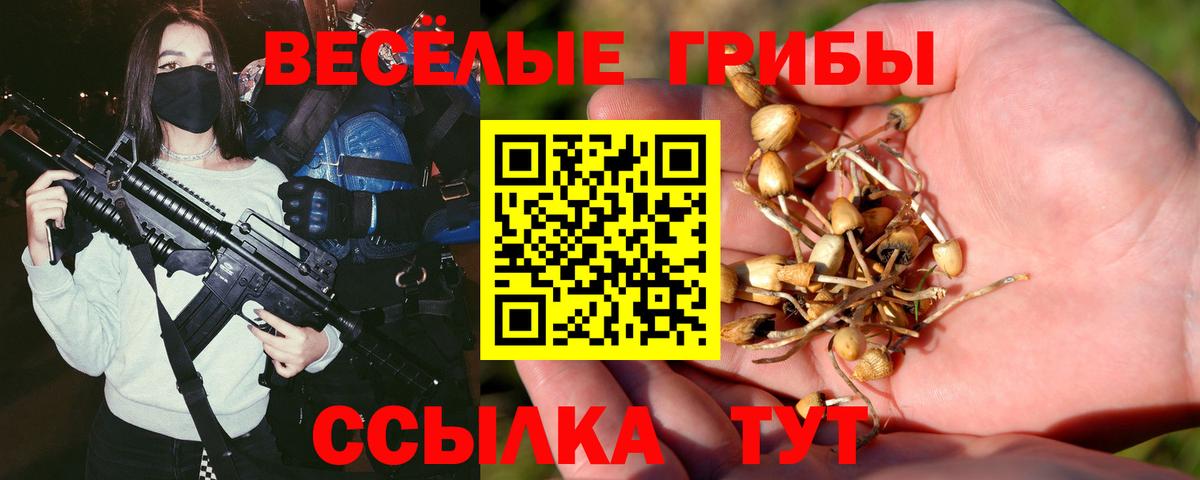 Псилоцибиновые грибы ЛСД  Вход с VPN  Юрга  Галлюциногенные грибы MAGIC MUSHROOMS 